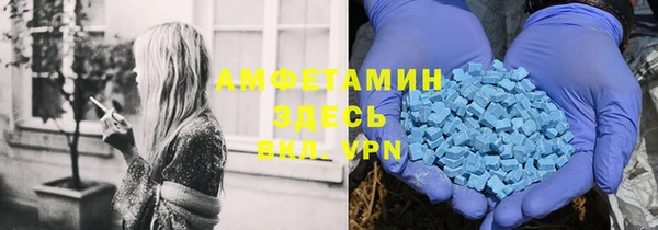 стафф Осташков