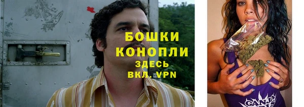 твердый Нягань