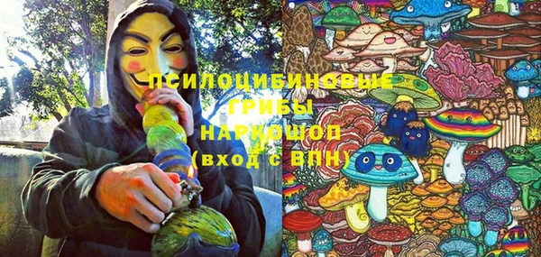 a pvp Билибино