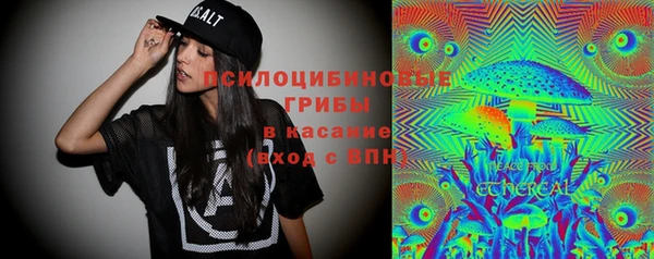 твердый Нягань