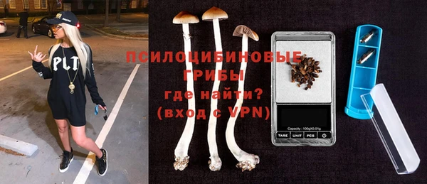 твердый Нягань