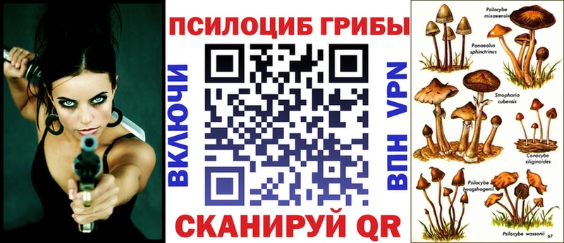 купить наркотики сайты  Чусовой  mega   Галлюциногенные грибы Psilocybine cubensis 