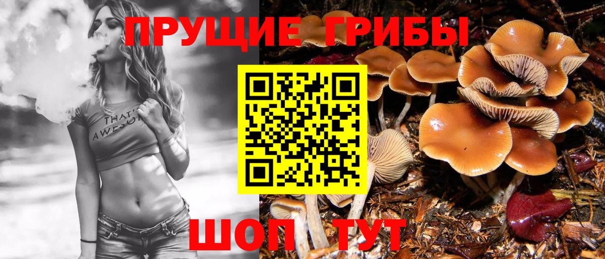 Псилоцибиновые грибы Magic Shrooms Чусовой